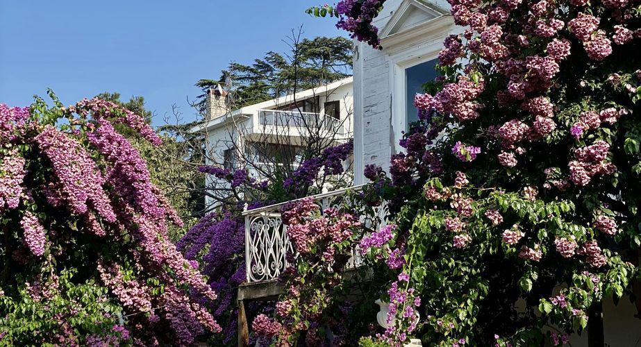 Buyukada Prinseneiland 3 Buyukada Prinseneiland 3